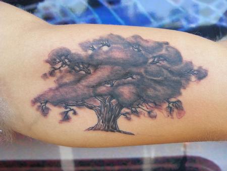 Tattoos - Oak Tree - 63347